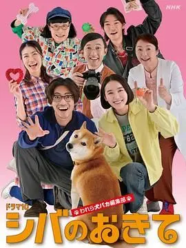 《柴犬的规矩我们这群狗痴编辑部》：治愈系日常，犬与人之间最纯粹的快乐哲学