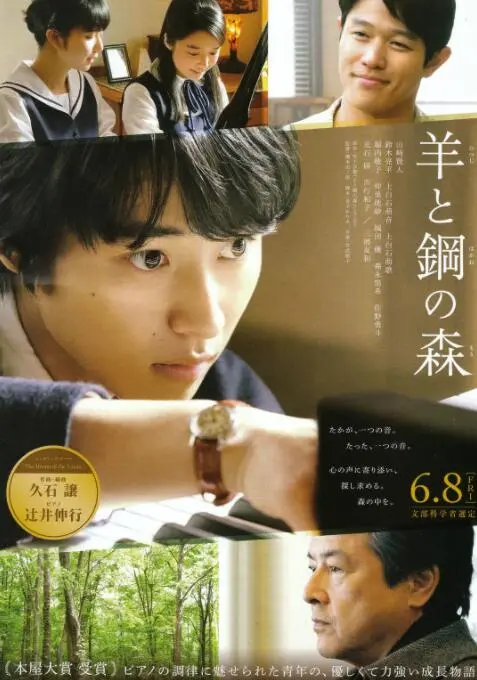 《羊与钢的森林》：当浪漫旋律遇上职场挣扎，钢琴师的成长蜕变之路