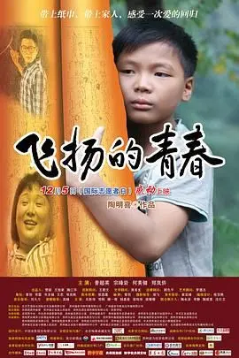 《飞扬的青春》：一场关于梦想与汗水的足球盛宴，致敬那些年我们追过的绿茵场
