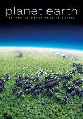 《地球脉动 第一季》：震撼心灵的视觉盛宴，让你直呼过瘾！