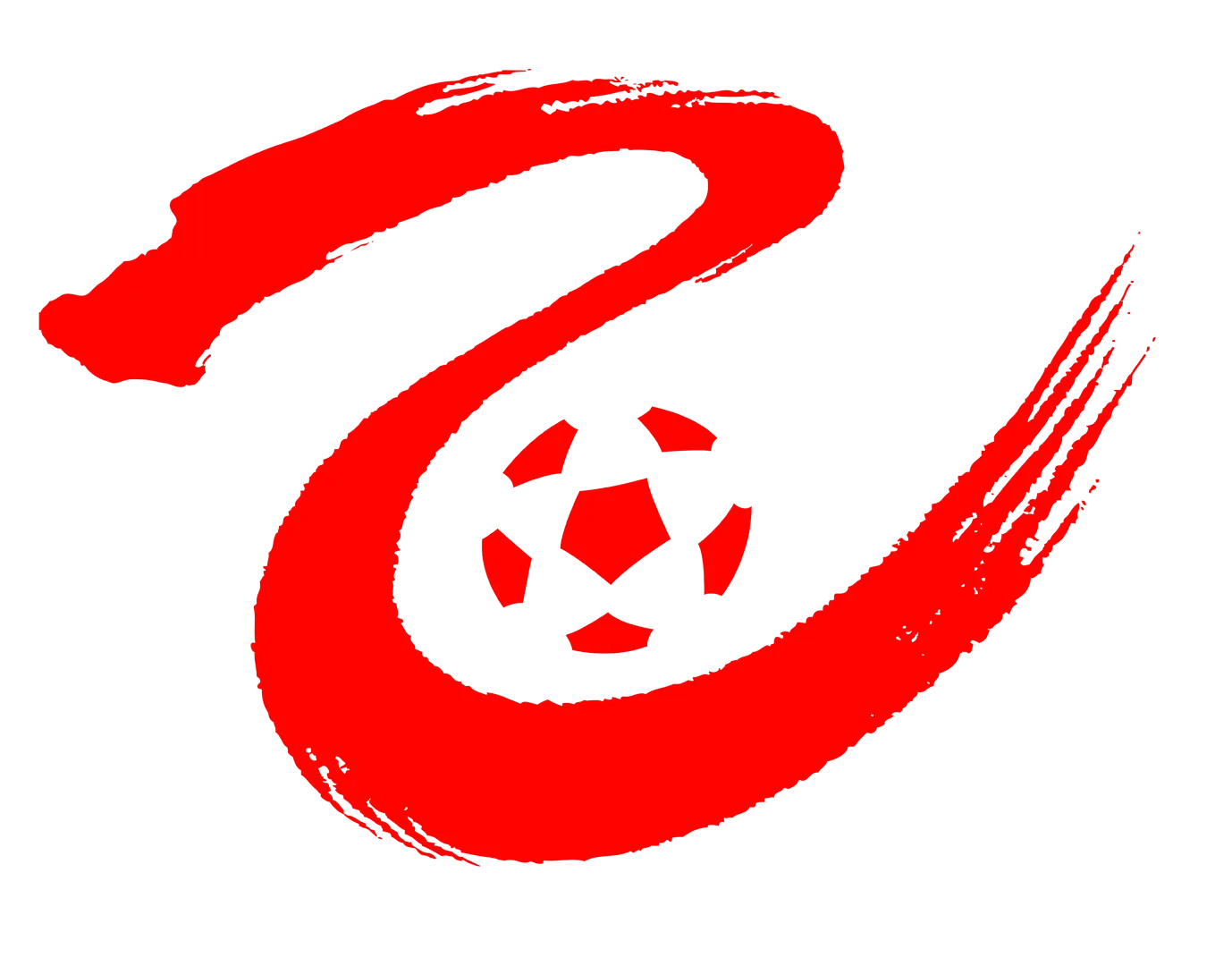 中乙 泉州亚新vs广东广州豹20240526