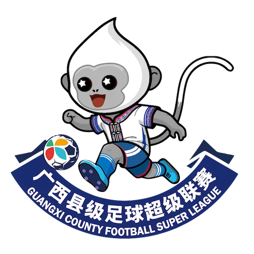 广西县级足球超级联赛 南宁市宾阳县1-2北海市海城区队20260208