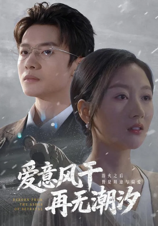 爱意风干再无潮汐