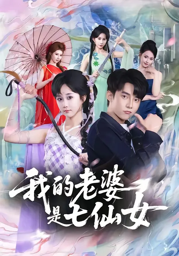 我的老婆是七仙女