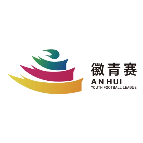 安徽省青少年足球联赛 铜陵VS安庆20260906