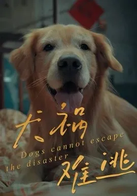 犬祸难逃